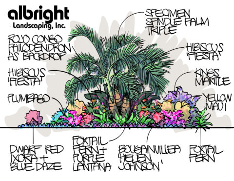 parrish florida landscape design sketch